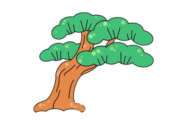 彩色松树简笔画的画法步骤教程