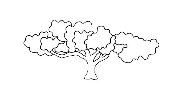 茂盛大树简笔画彩色画法图片