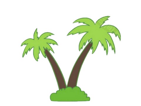 椰子树简笔画画法步骤图片大全
