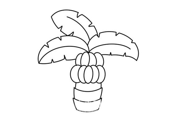 卡通香蕉树简笔画画法步骤图片