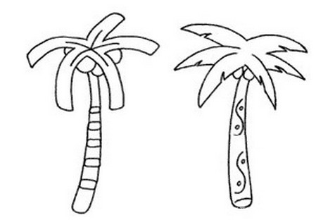 椰子树如何画简笔画简单又漂亮