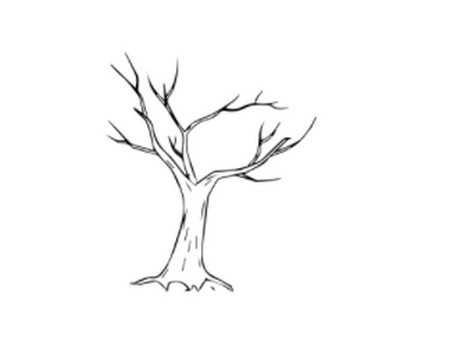 枯树的简笔画如何画简单又漂亮-枯树简笔画