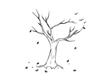 枯树的简笔画如何画简单又漂亮-枯树简笔画