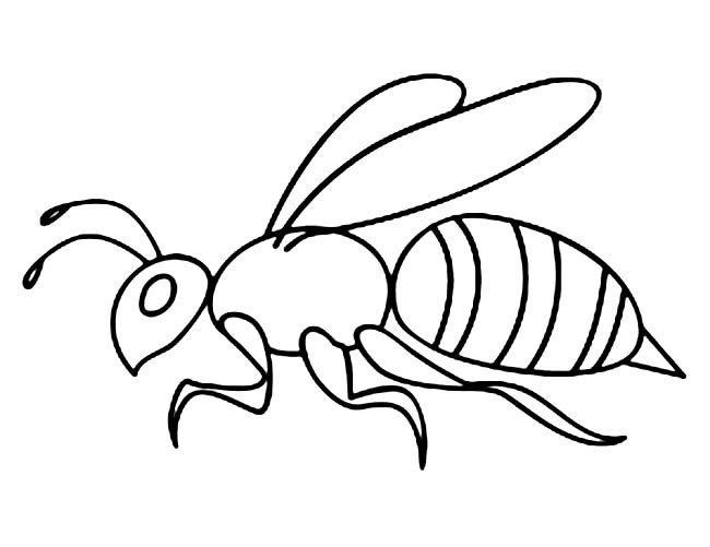 儿童简笔画 大黄蜂简笔画图片 大黄蜂昆虫简笔画步骤图片大全