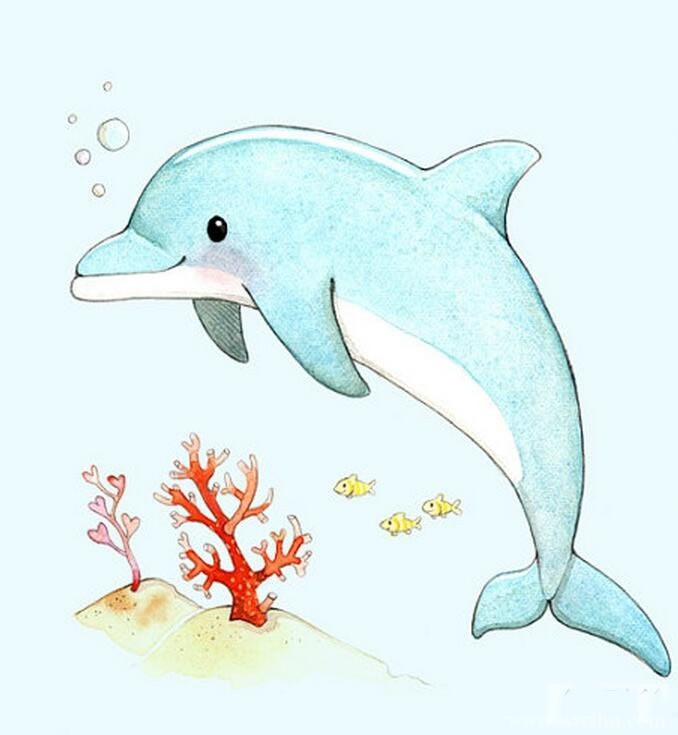 可爱的小海豚海底世界儿童画