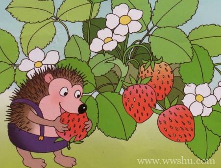 小草莓的故事