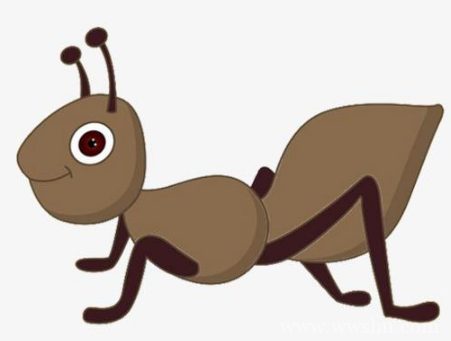 小蚂蚁历险故事