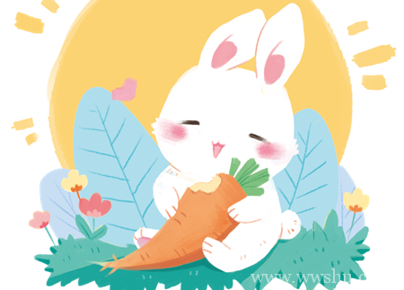 兔子的胡萝卜童话故事