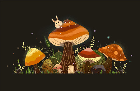 小白兔的蘑菇伞故事