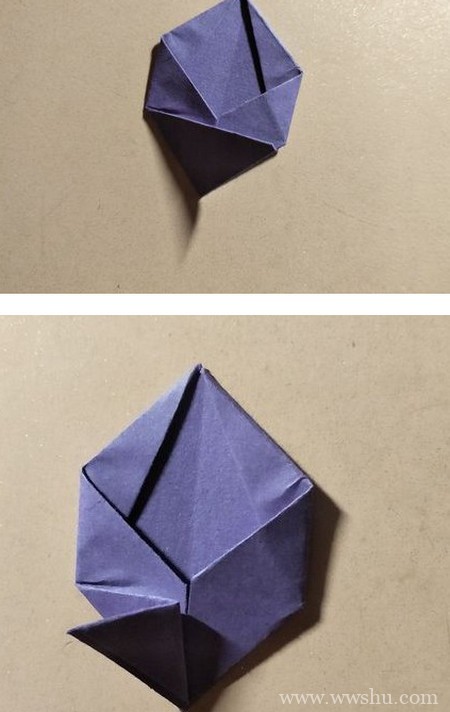 折纸五瓣花详细详细步骤图解