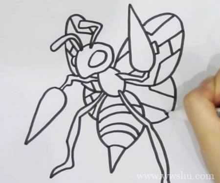 口袋妖怪中的大针蜂简笔画步骤图解 大针蜂如何画