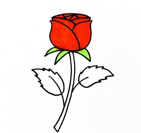 玫瑰花如何画简笔画又漂亮
