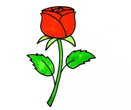 玫瑰花如何画简笔画又漂亮