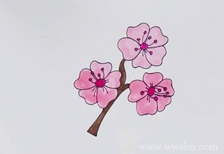 樱花如何画简单又漂亮,樱花简笔画图片带颜色