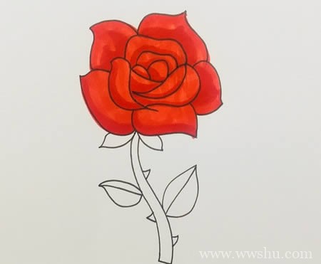 玫瑰花简笔画画法步骤图解-玫瑰花如何画简单又漂亮