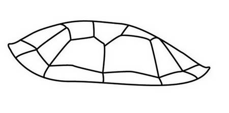 海龟简笔画简单又漂亮 海龟画法简笔画步骤图解