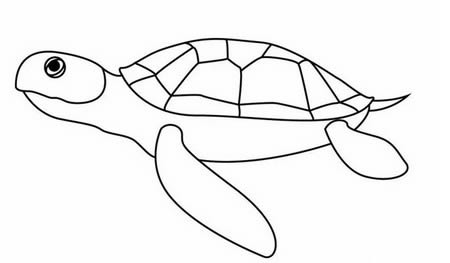 海龟简笔画简单又漂亮 海龟画法简笔画步骤图解
