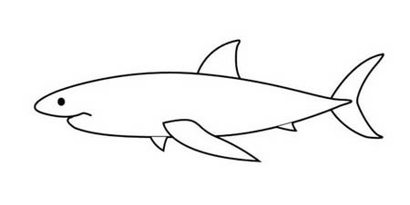 大白鲨简笔画简单画法 大白鲨简笔画如何画