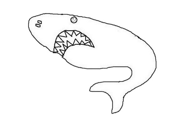 鲨鱼简笔画如何画简单凶狠 彩色画法