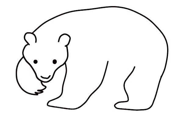 如何画棕熊简笔画 棕熊简笔画步骤图解