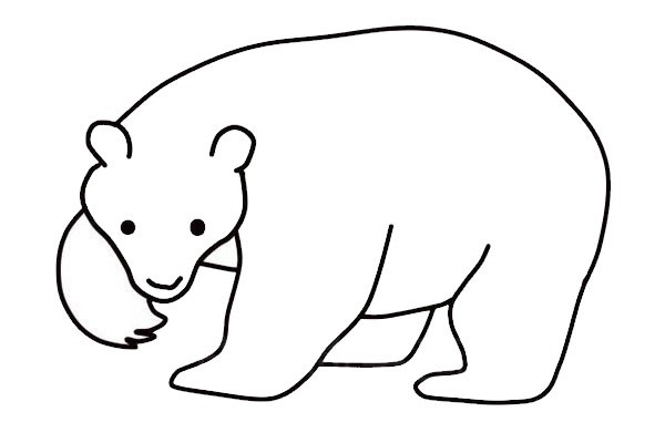 如何画棕熊简笔画 棕熊简笔画步骤图解