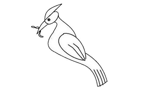 啄木鸟简笔画如何画才漂亮