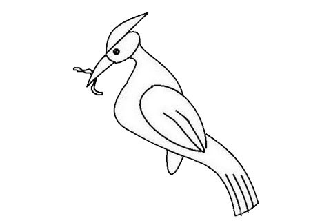 啄木鸟简笔画如何画才漂亮