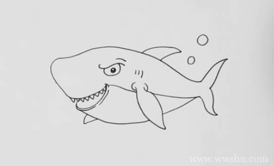 鲨鱼简笔画彩色_鲨鱼如何画简单又漂亮