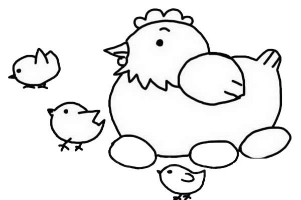 鸡妈妈和鸡宝宝简笔画步骤图片大全