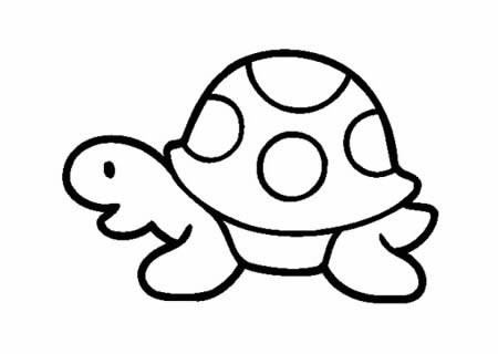 7款乌龟简笔画图片大全,乌龟简笔画简单又可爱