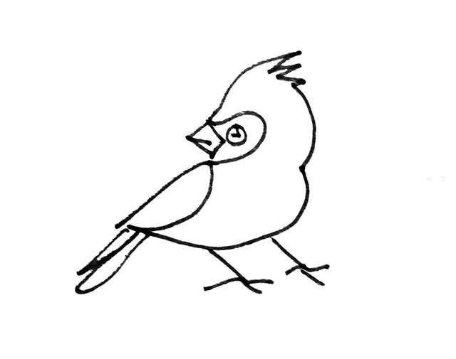 彩色小鸟简笔画的画法步骤图解