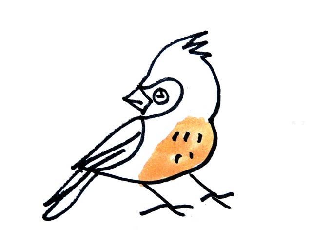 彩色小鸟简笔画的画法步骤图解