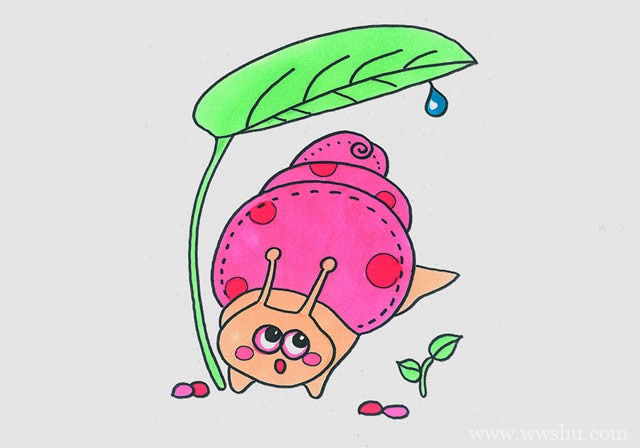 树叶下的蜗牛简笔画彩色画法