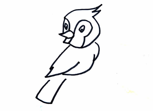 漂亮的小鸟简笔画如何画简单彩色画法