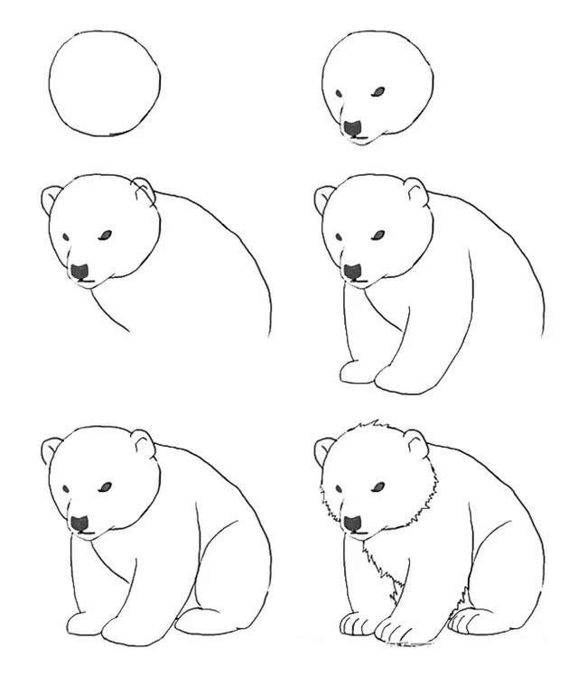呆呆的小北极熊简笔画简单又可爱