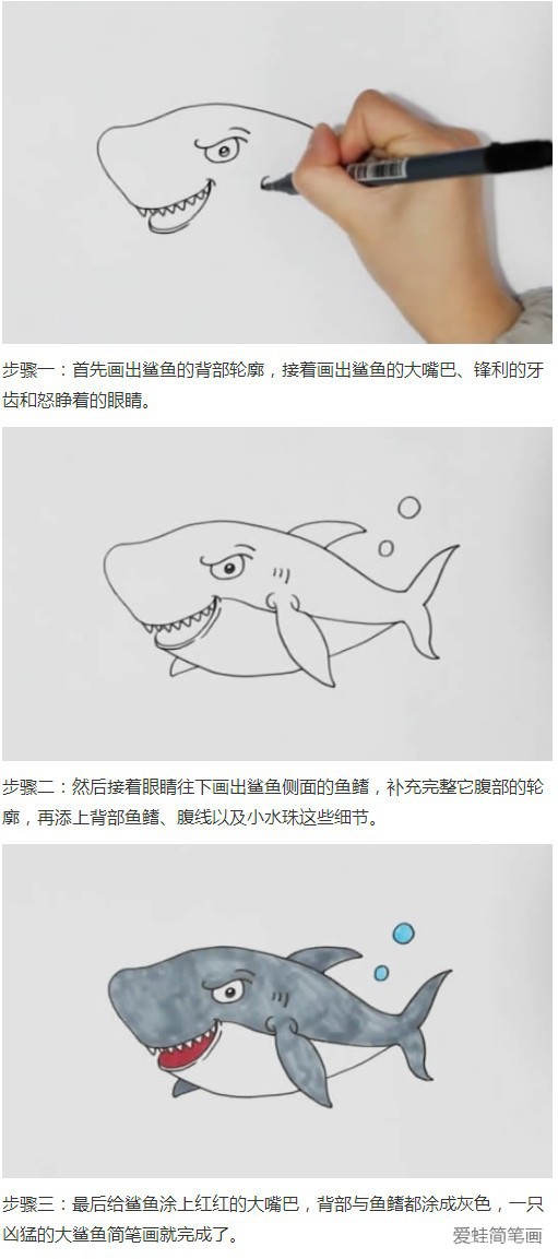 卡通大鲨鱼简笔画