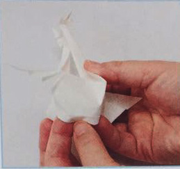情人鹅步骤图解 鹅的折纸方法