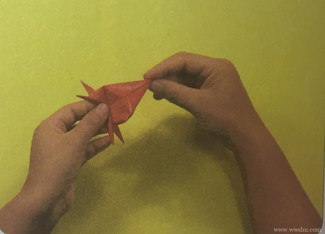 桃子手工折纸 怎么用纸折桃